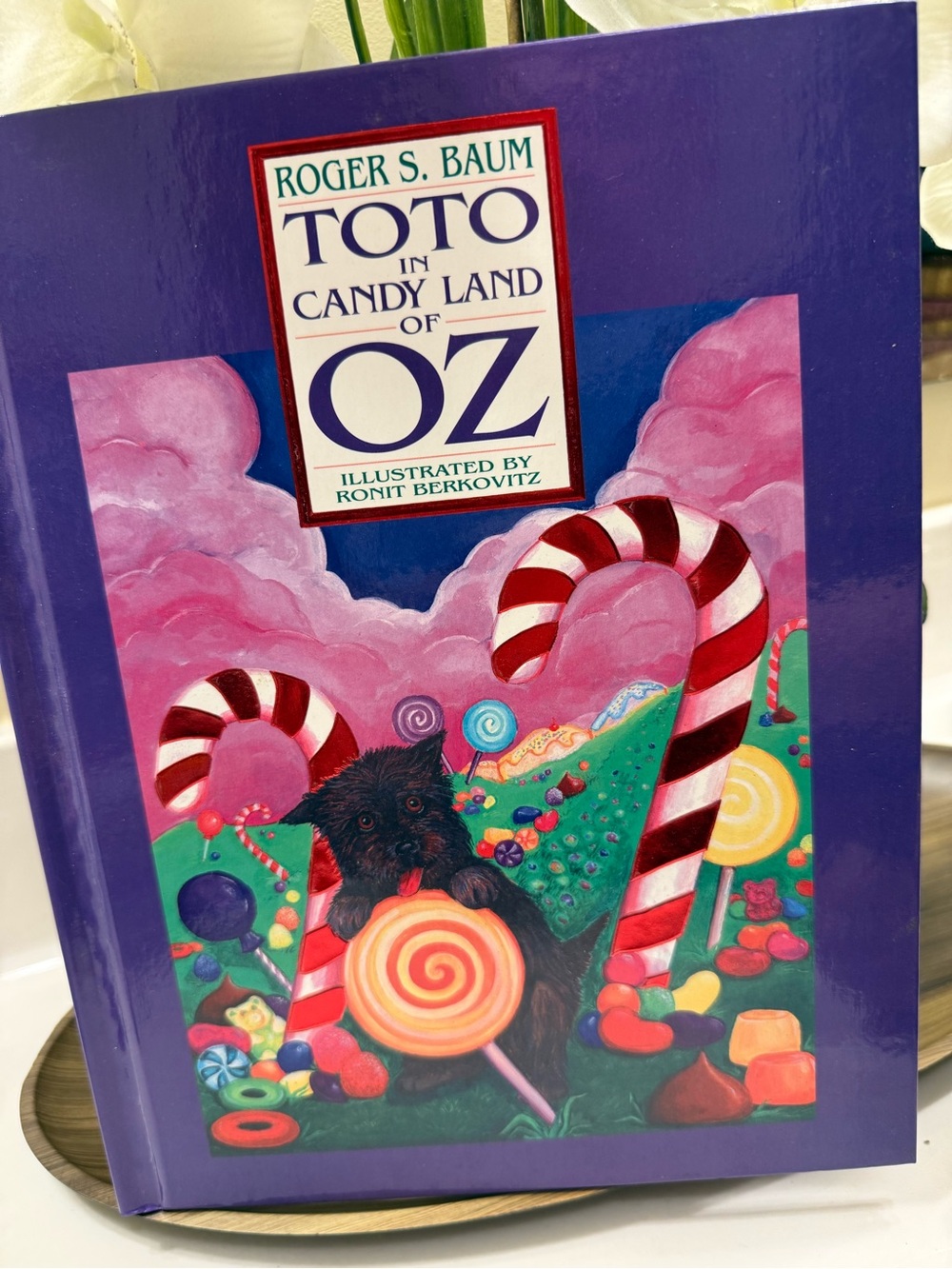 Toto in Candy Land of Oz — Illustrated Children's Book (Purple Cover)